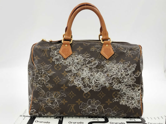 LOUIS VUITTON Monogram Dante Speedy 30 Handbag