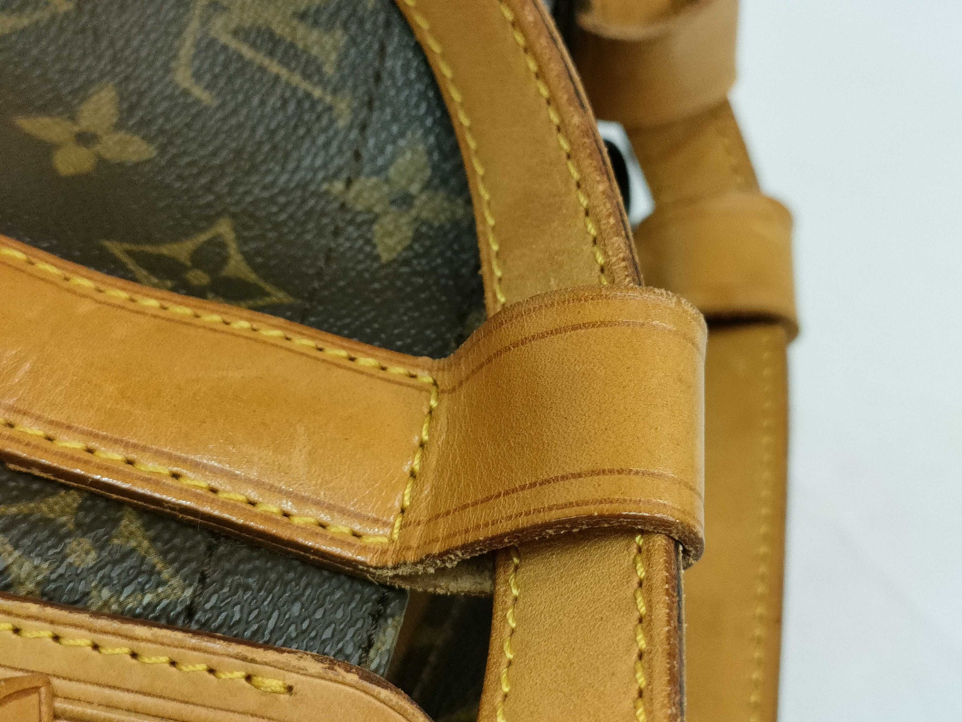 LOUIS VUITTON Monogram LV Mono Randonne Backpack