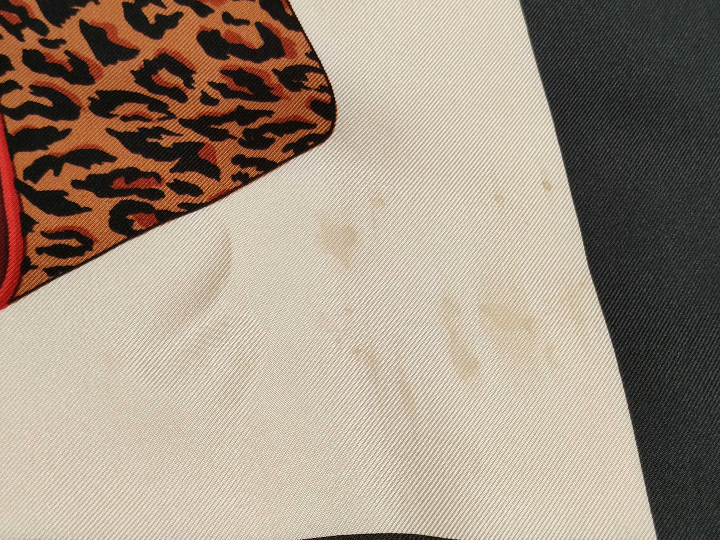Dior Dior Scarf Scarf