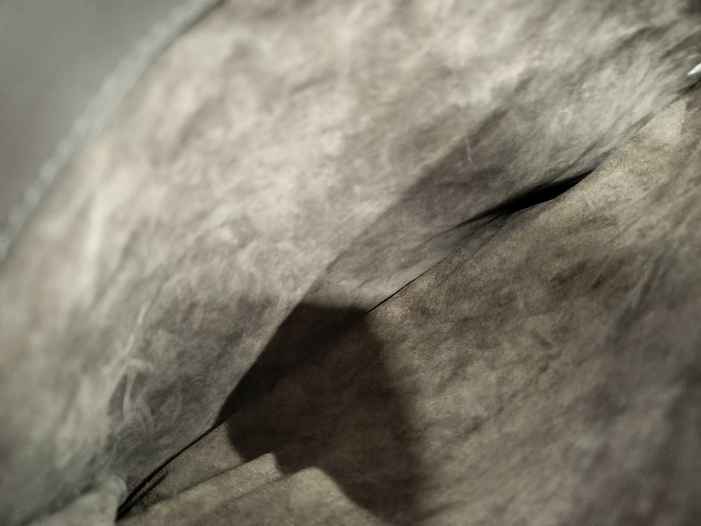 BOTTEGA VENETA Bottega Veneta Intrecciato Gray Handbag