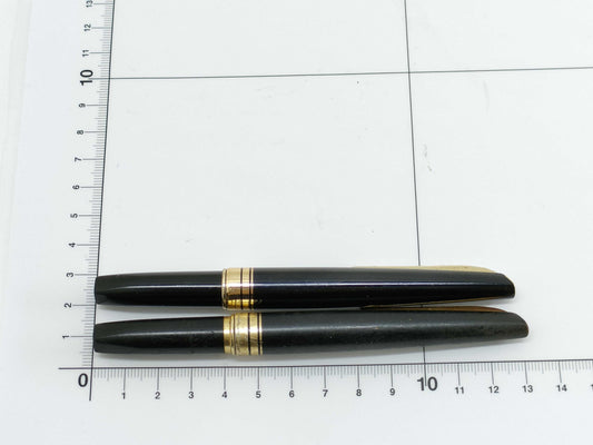 Platinum 22K Fountain Pen Set of 2
