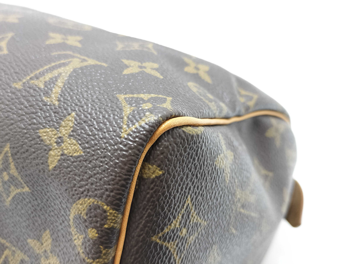 LOUIS VUITTON Monogram LV Monogram Speedy 25 Handbag
