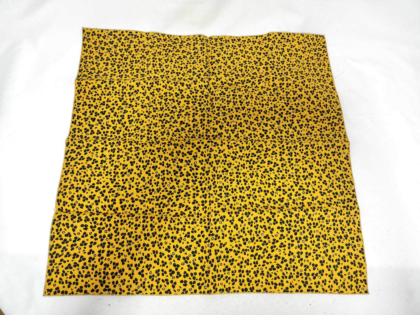 HERMES Leopard Print Lunch Mat with Box Other Accessories