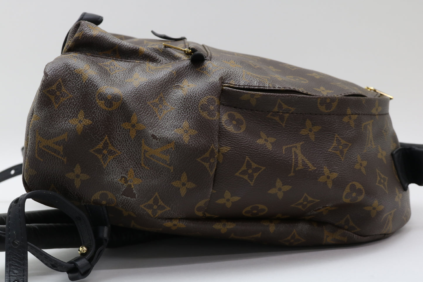 LOUIS VUITTON Monogram Palm Springs PM Backpack