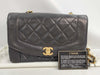CHANEL Diana Chain Shoulder Bag, No. 1