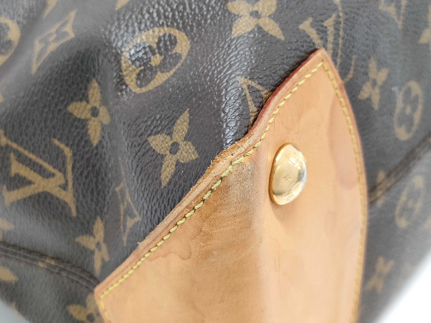 LOUIS VUITTON LV Wilshire Tote Bag
