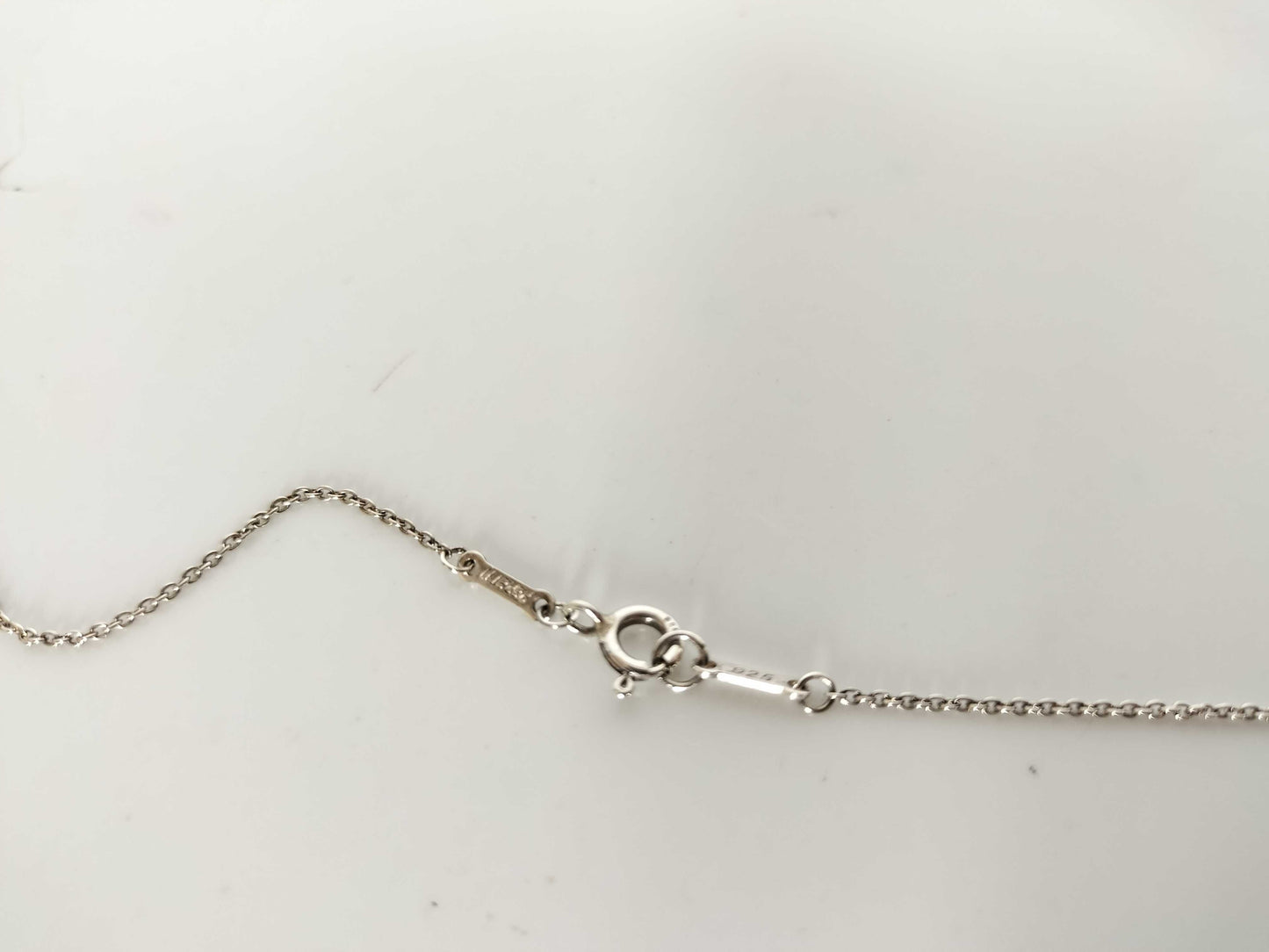 Tiffany & Co. Eternal Circle Tiffany Necklace Eternal Elsa Peretti Ag925 Necklace