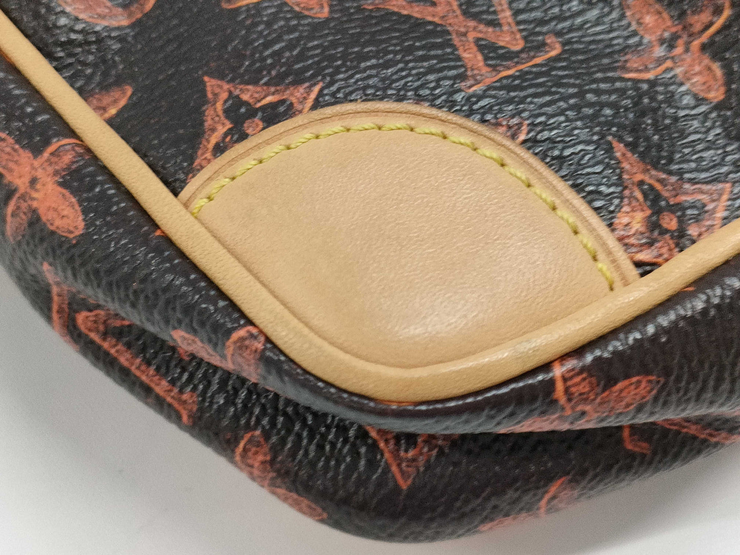 LOUIS VUITTON Louis Vuitton Catgram Shoulder Bag