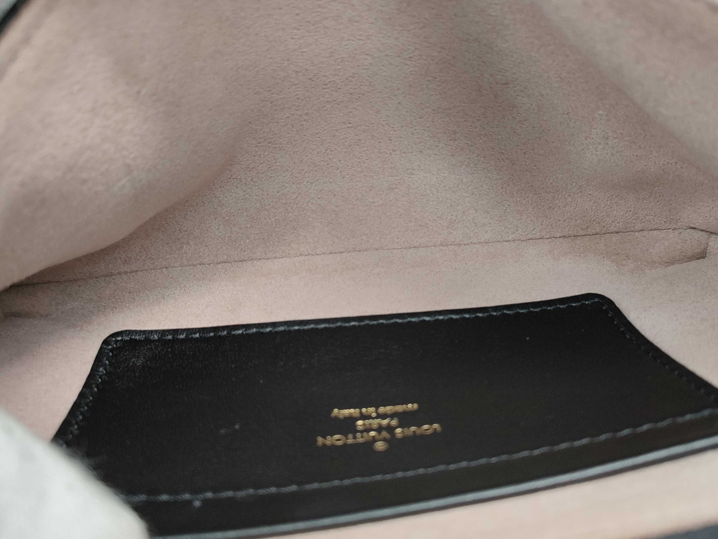LOUIS VUITTON Louis Vuitton Pochette Coussin Bag
