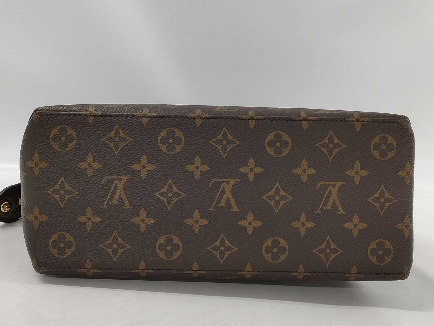 LOUIS VUITTON Monogram Petit Palais PM Handbag Bag