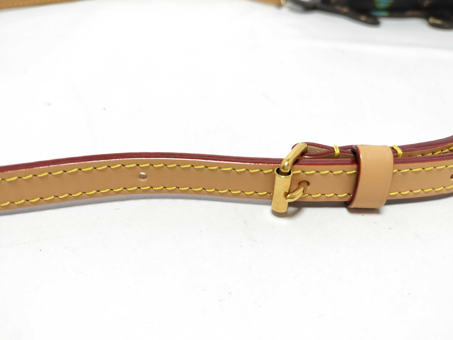 LOUIS VUITTON M83342 Dock-on Strap Monogram Craggy Pouch