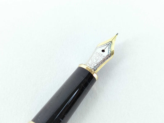 MONTBLANC Montblanc 4810 18K Fountain Pen