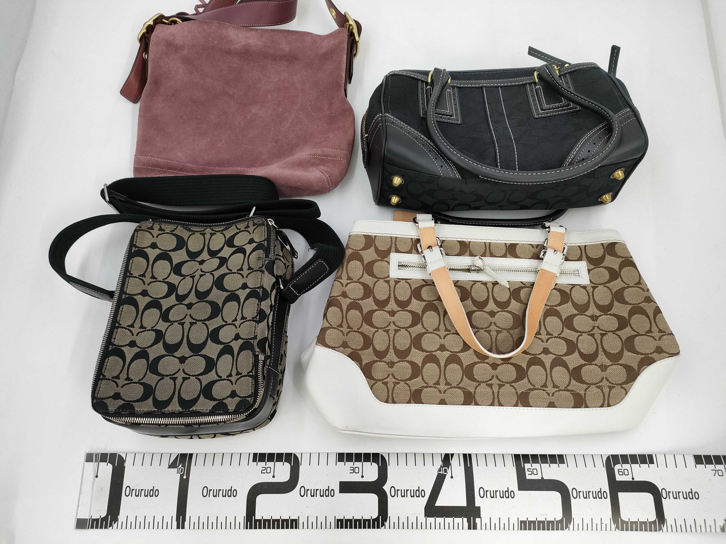COACH Coach bag set of 4