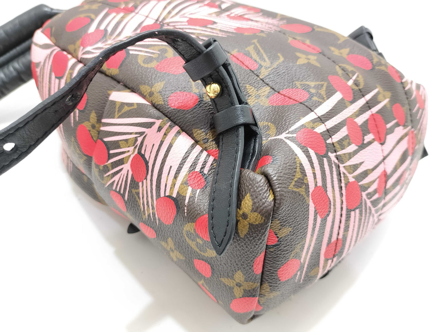 LOUIS VUITTON Monogram Jungle Dot Palm Springs Backpack PM M41981 FL1118 Brown x Red Backpack