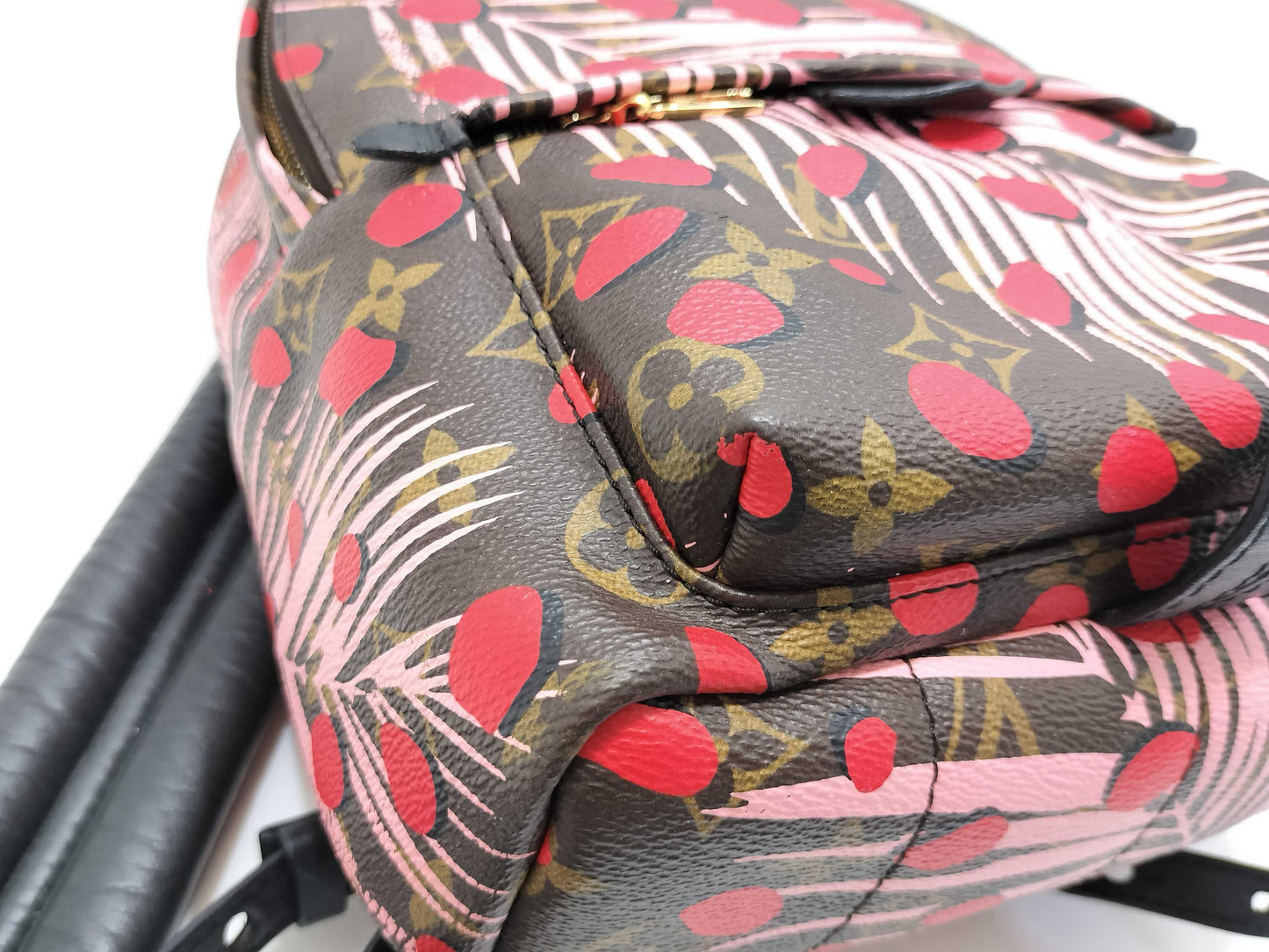 LOUIS VUITTON Monogram Jungle Dot Palm Springs Backpack PM M41981 FL1118 Brown x Red Backpack