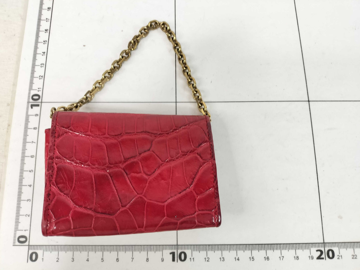 LOEWE Chain Shoulder Pouch Crocodile Heart Rare Pouch