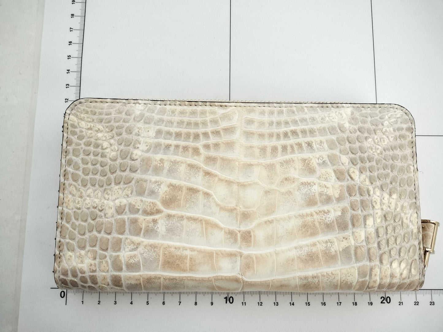 LOUIS VUITTON LOUIS VUITTON Unused Sahara Zippy Wallet