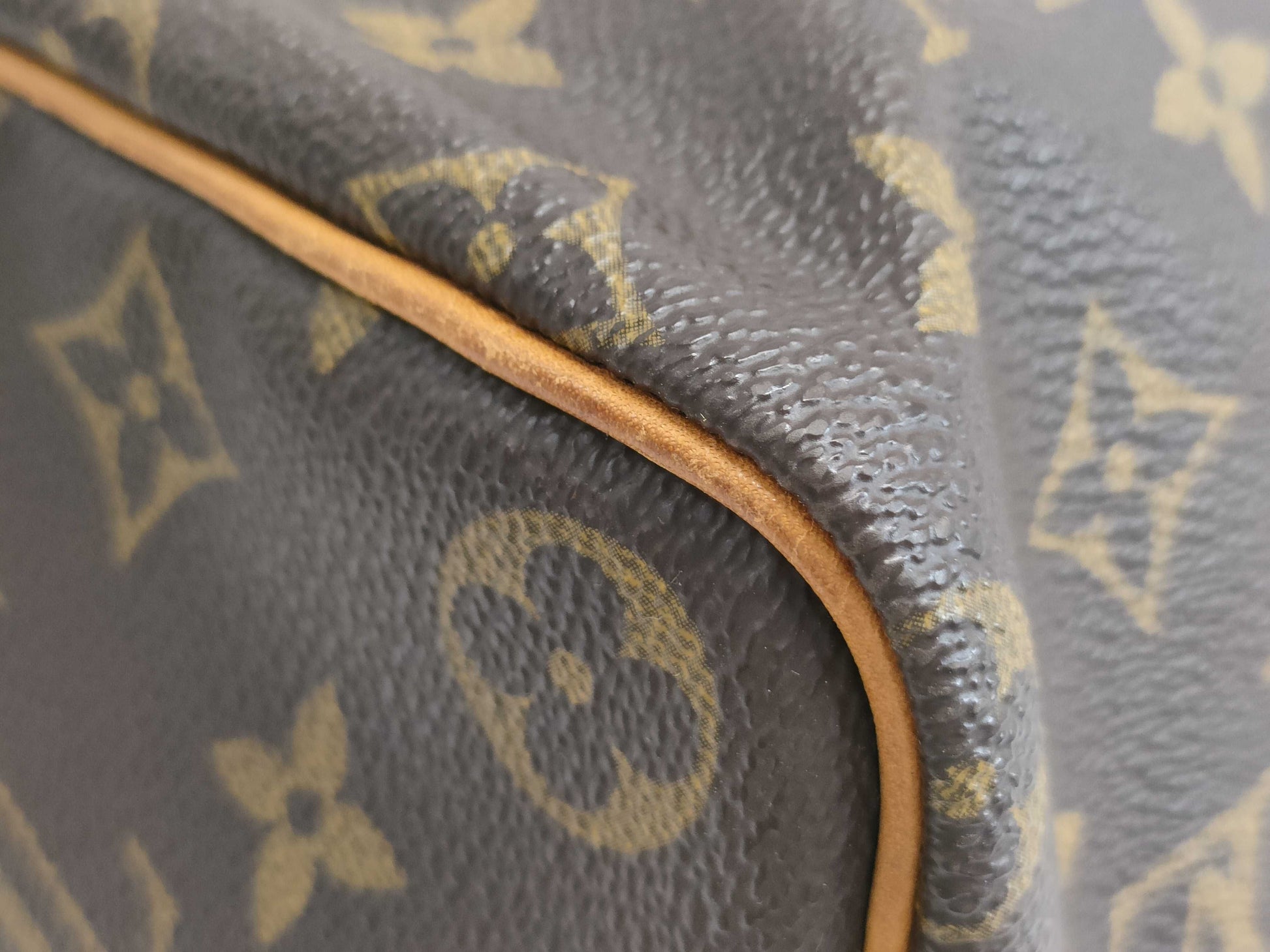 LOUIS VUITTON Speedy Boston Bag