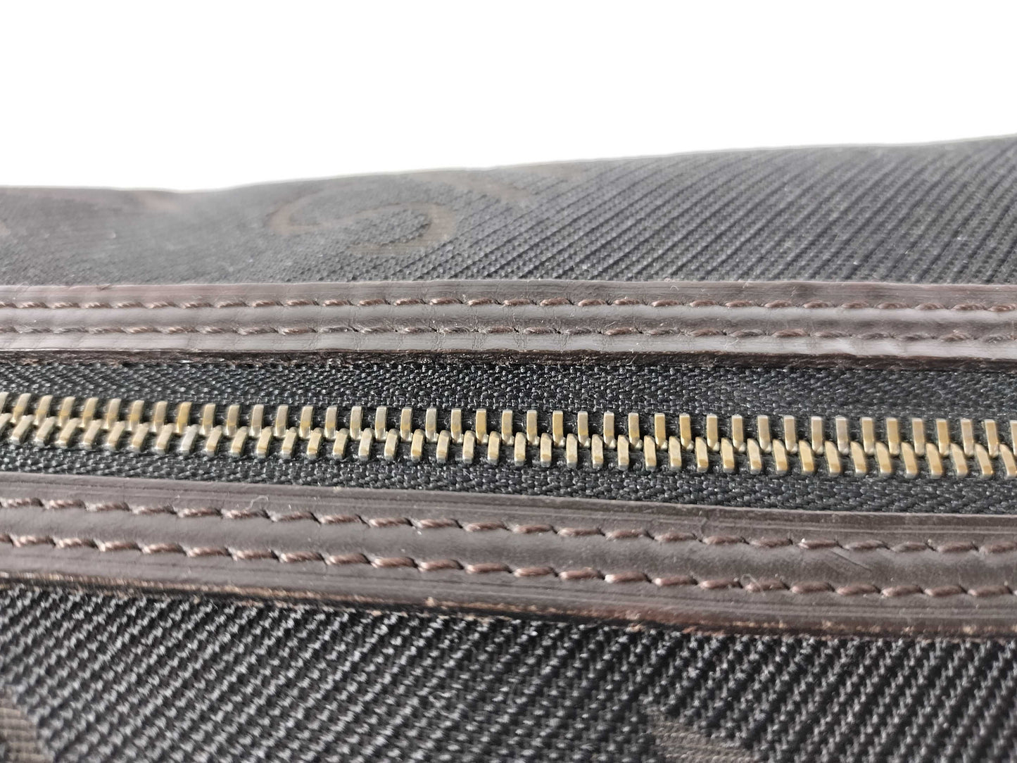LOUIS VUITTON Truth Albatross Clutch Bag