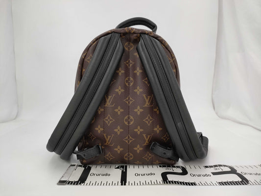 LOUIS VUITTON LOUIS VUITTON Monogram Palm Springs Backpack