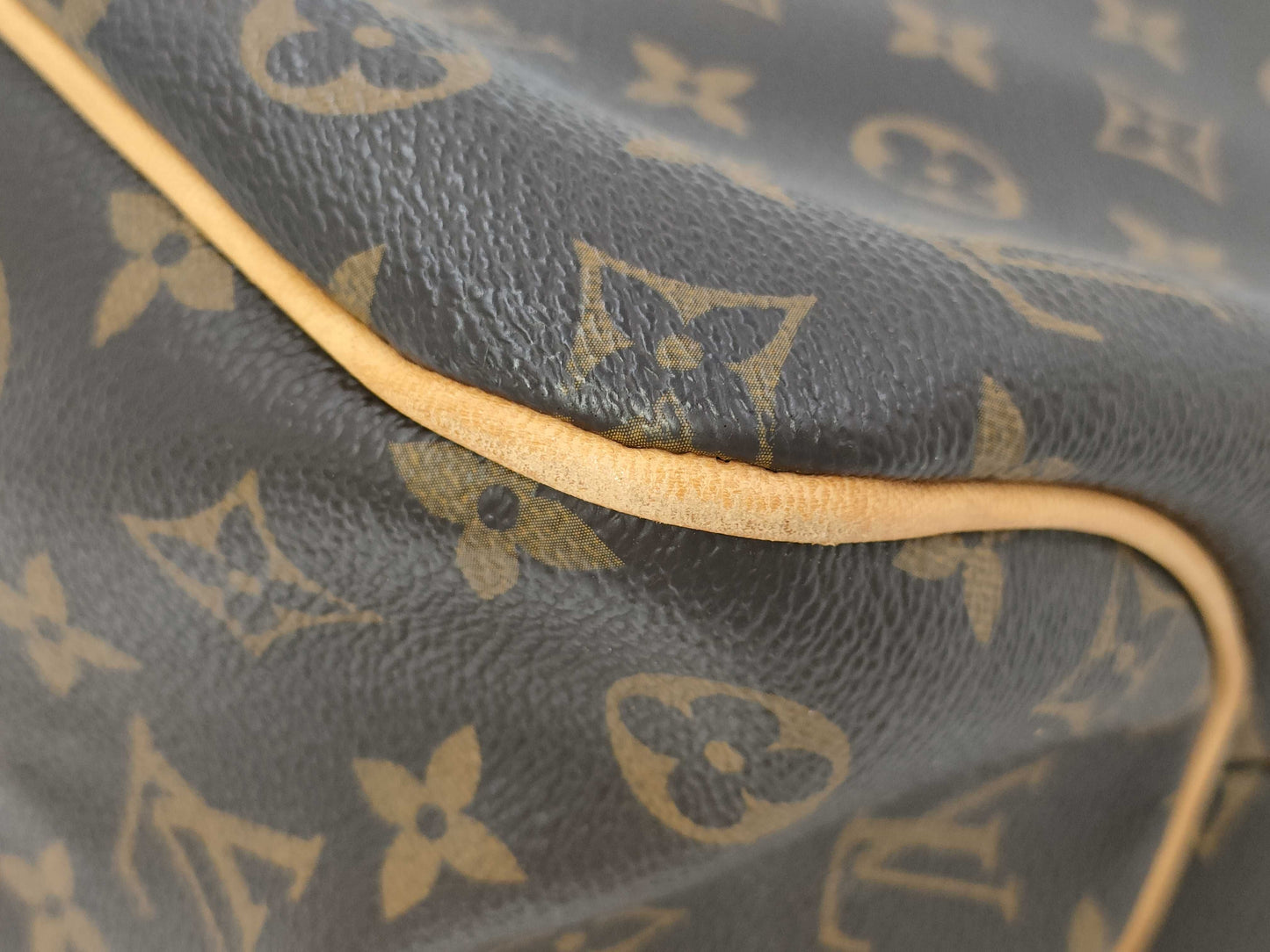 LOUIS VUITTON Monogram Delightful PM Shoulder Bag