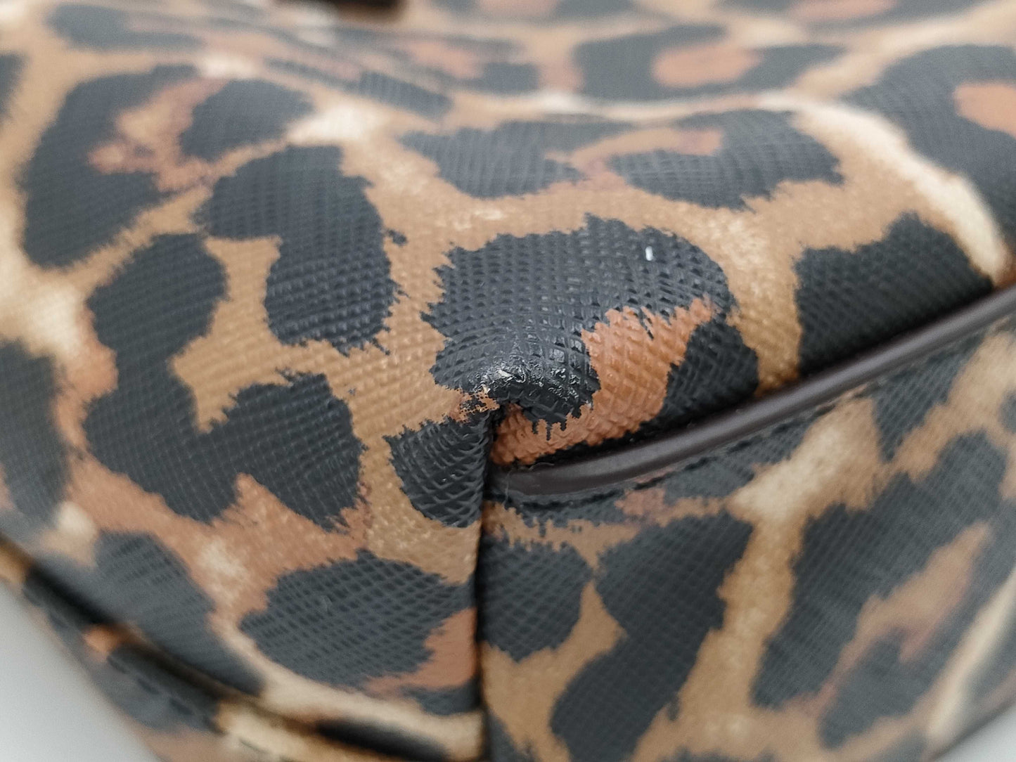 COACH Leopard Print Tote Bag