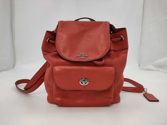 COACH Leather Backpack