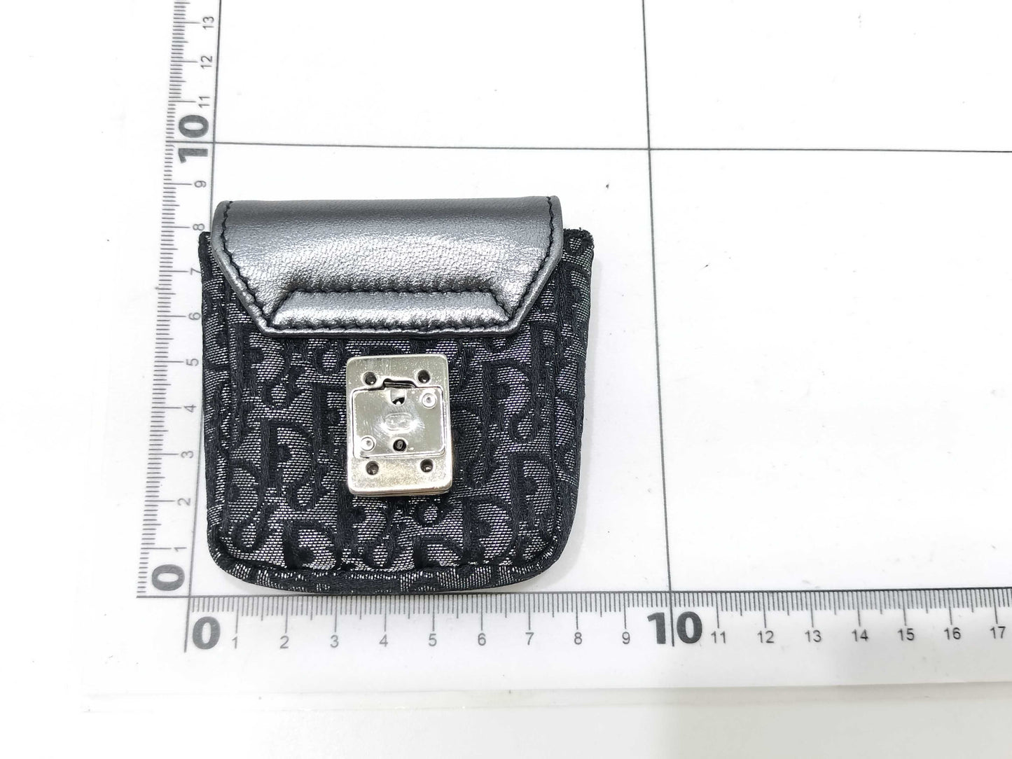 Dior Trotter DIOR Pouch