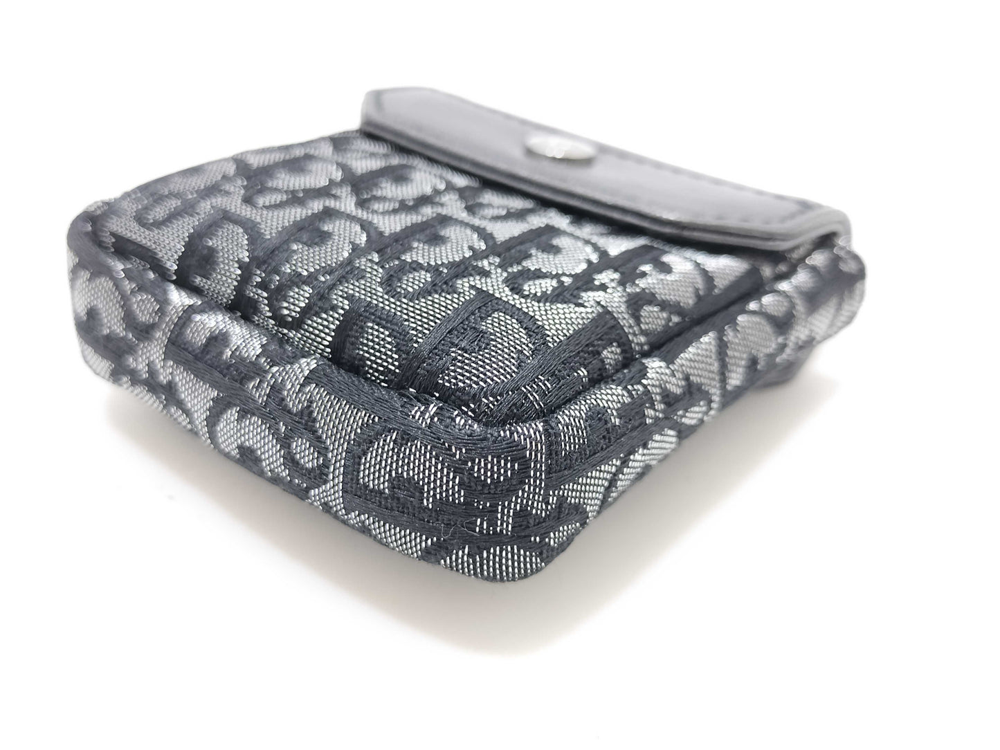 Dior Trotter DIOR Pouch