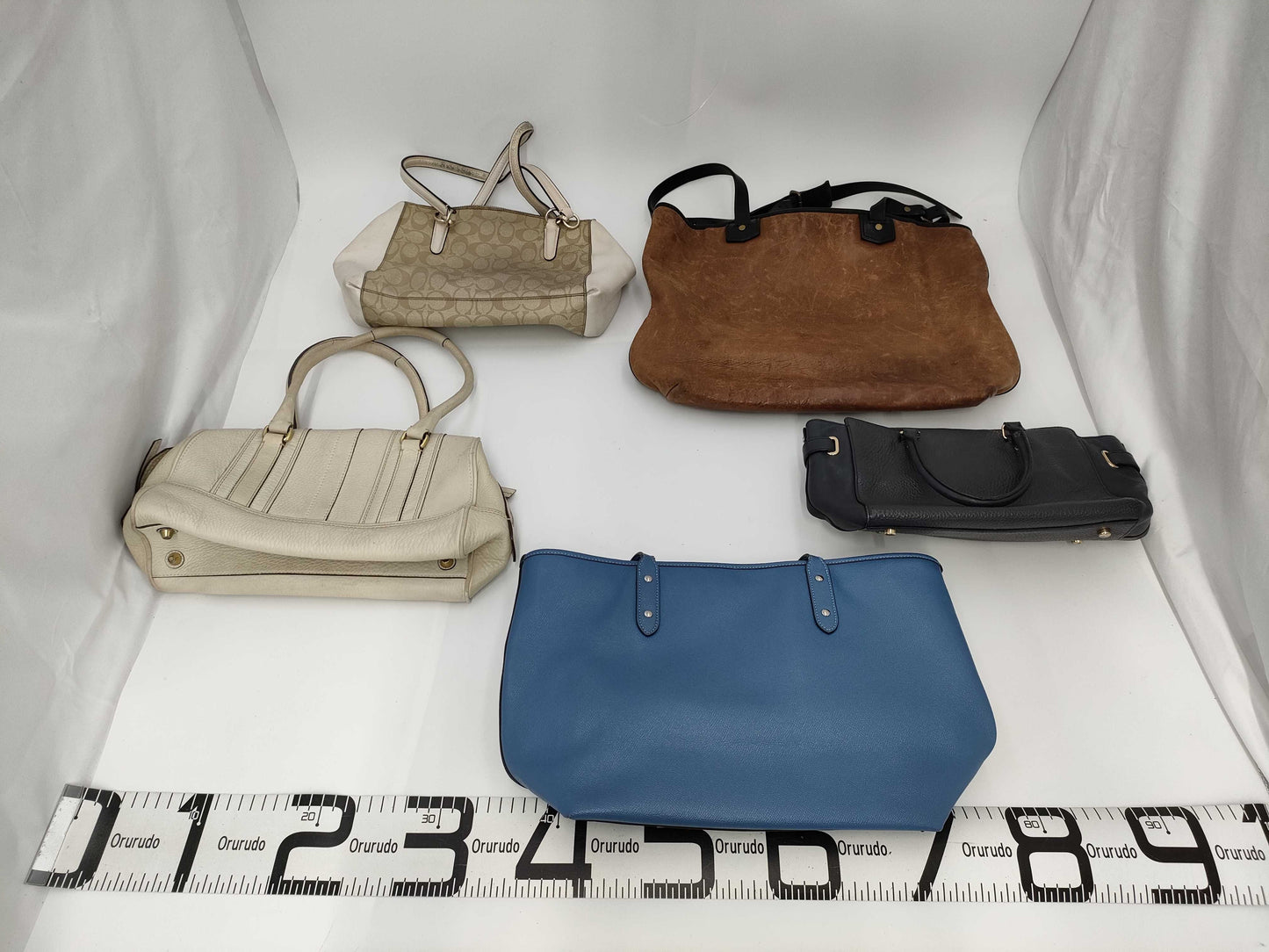 COACH COACH 5-piece bag set