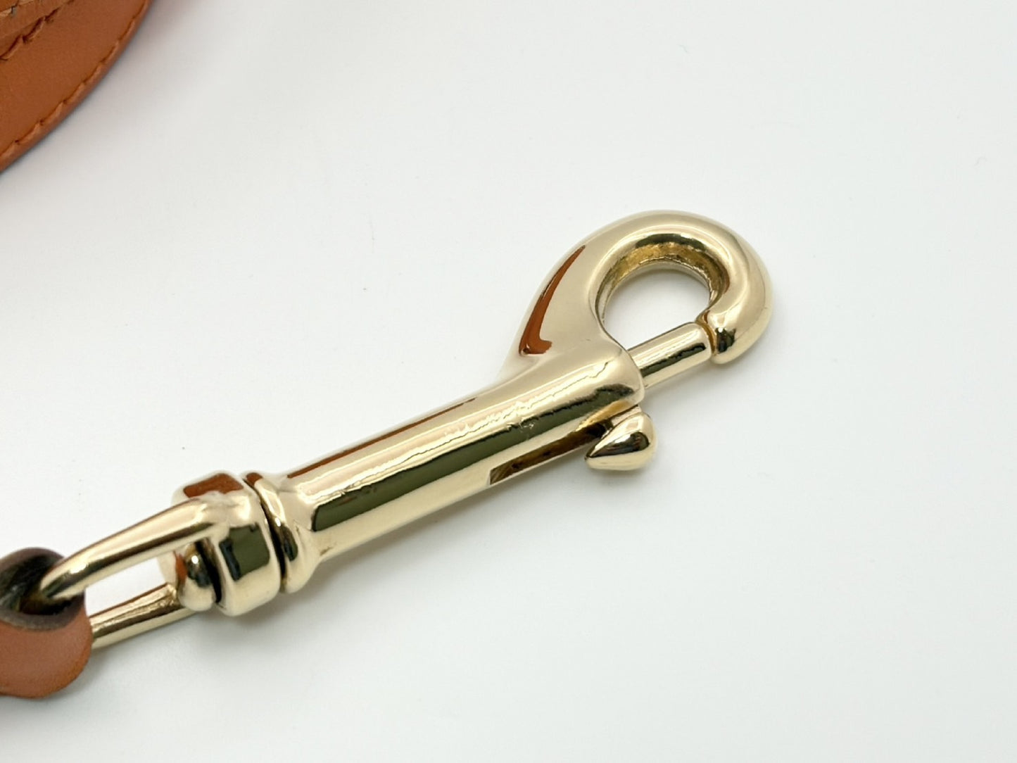 HERMES Kelly Leash, G Stamp, Pet Supplies, Leather, Orange with Gold Hardware, Other Accessories
