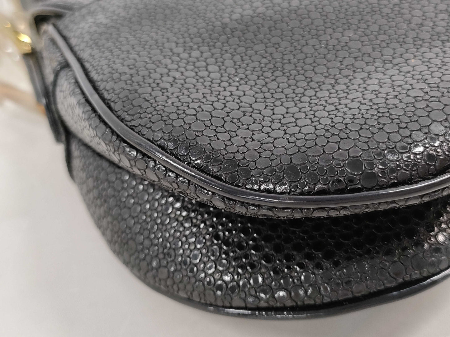 Dior Python Double Saddle Bag with G Hardware Shoulder Bag
