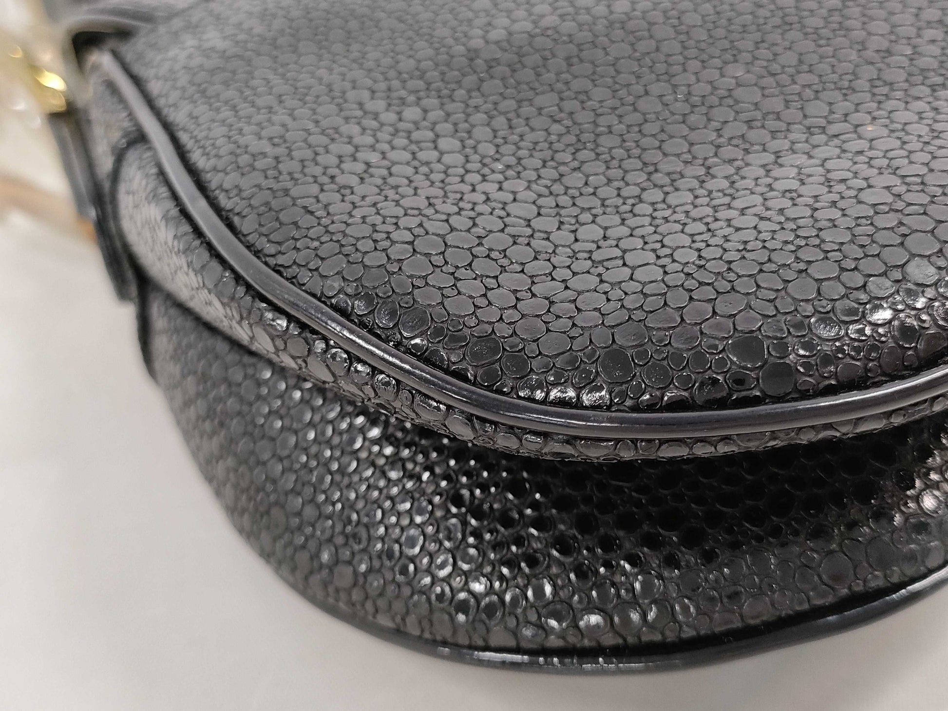 Dior Python Double Saddle Bag with G Hardware Shoulder Bag