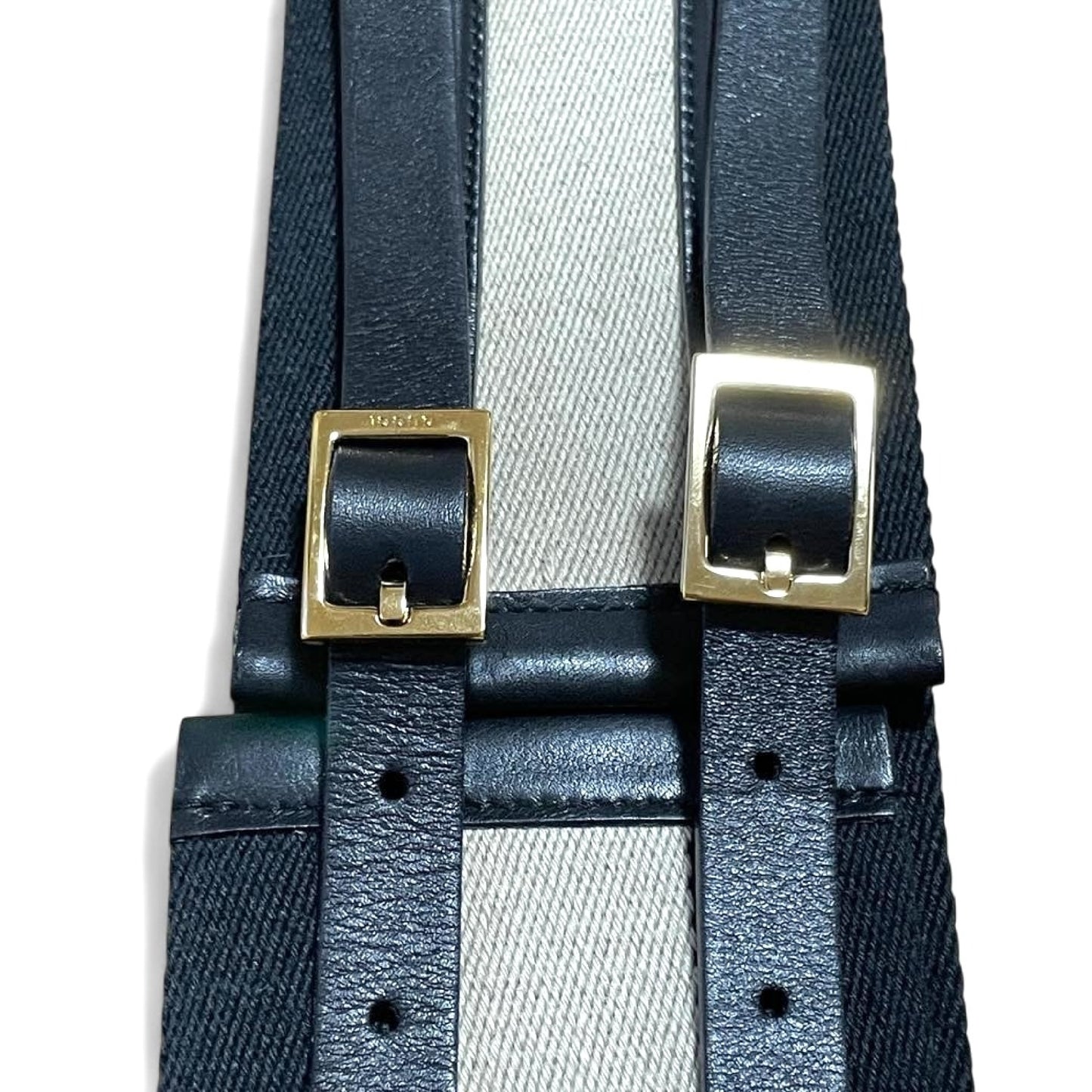 GUCCI Double Buckle Line Belt
