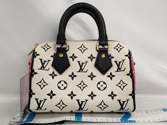 LOUIS VUITTON Speedy20 Shoulder Bag/Boston Bag