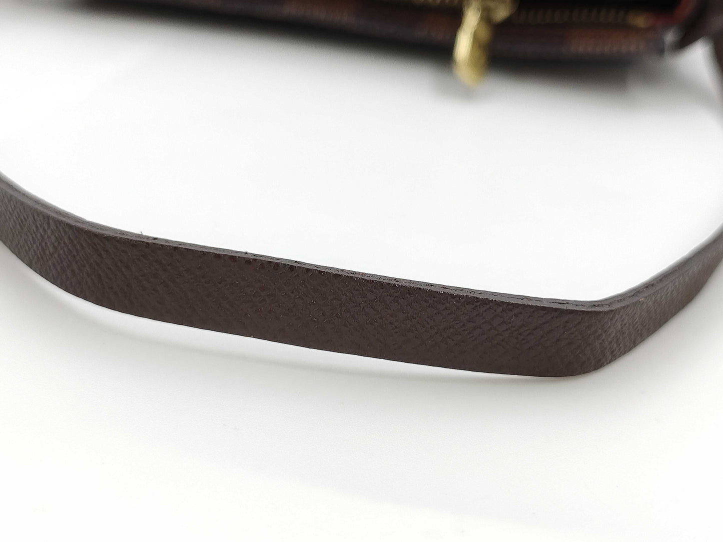 LOUIS VUITTON Damier Truth Makeup Handbag