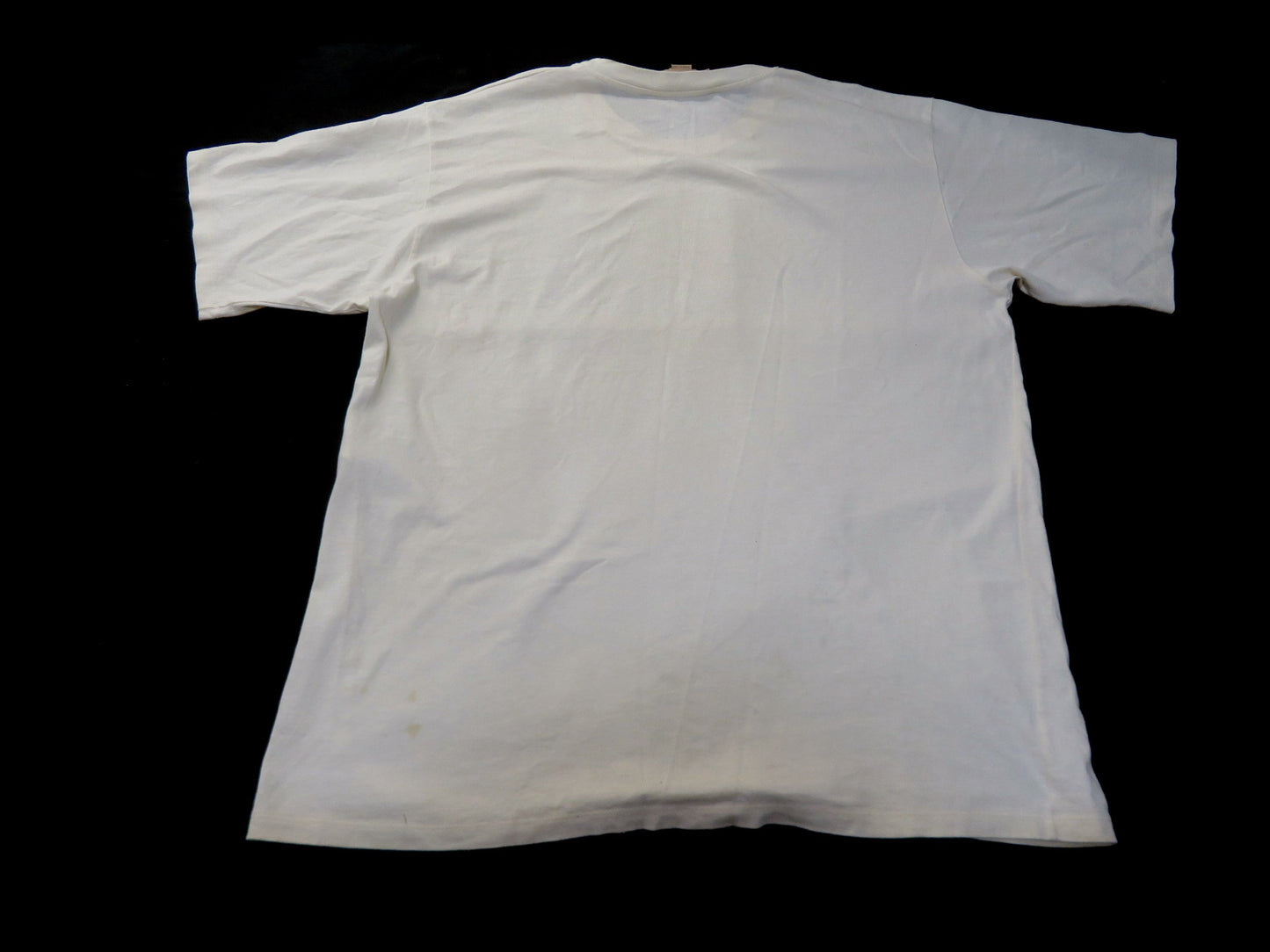 GUCCI GUCCI THE NORTH FACE Gucci x North Face Logo T-Shirt White XXL T-Shirt