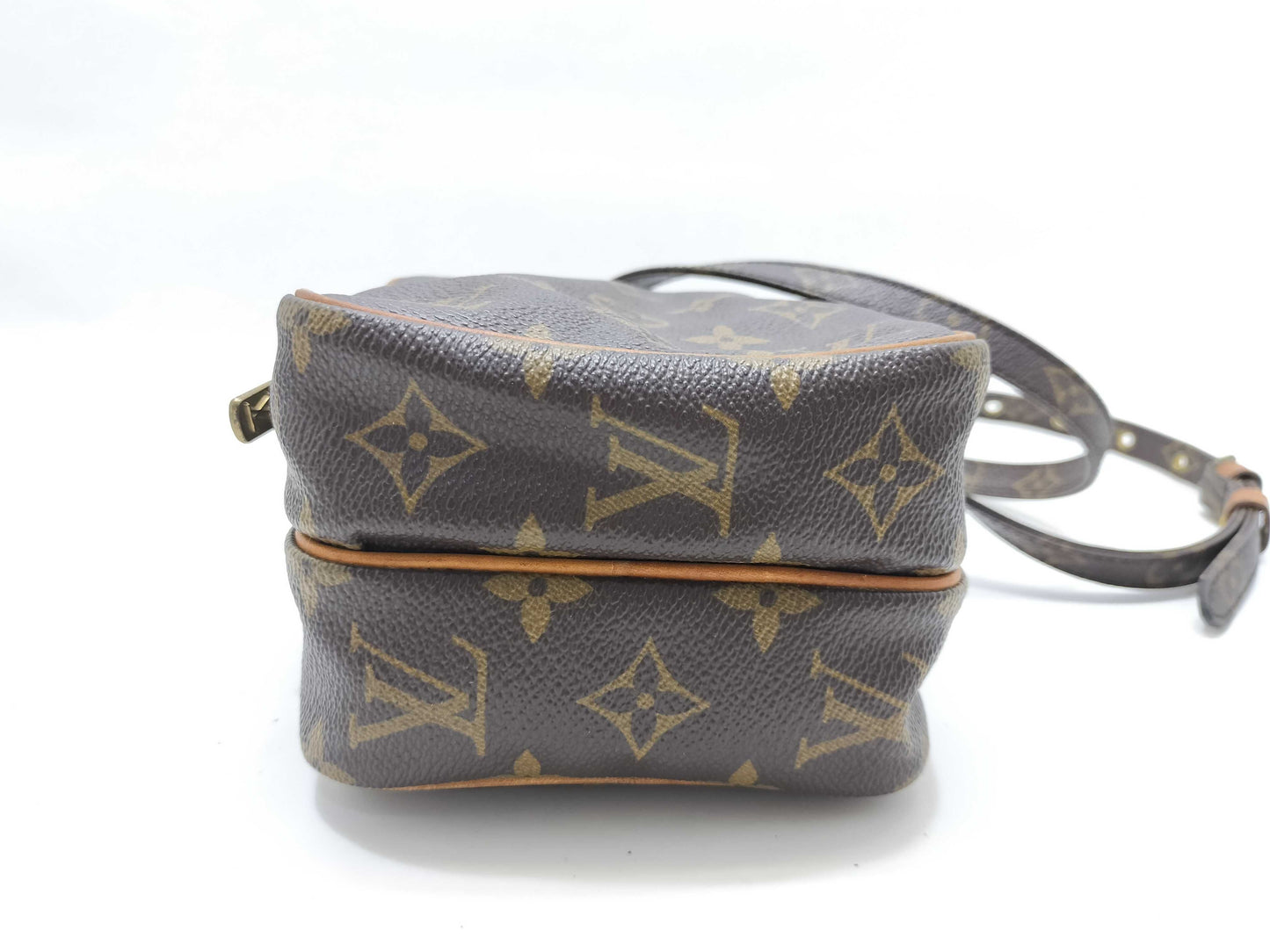 LOUIS VUITTON Monogram LV Mini Amazon Monogram Brown Shoulder Bag
