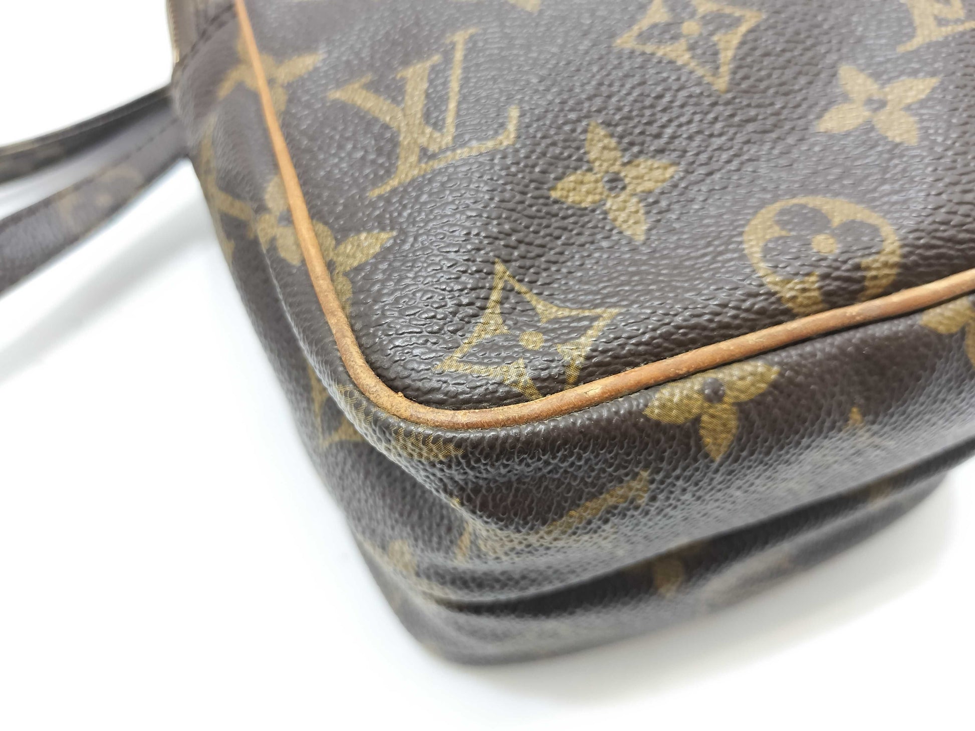 LOUIS VUITTON Monogram LV Mini Amazon Monogram Brown Shoulder Bag