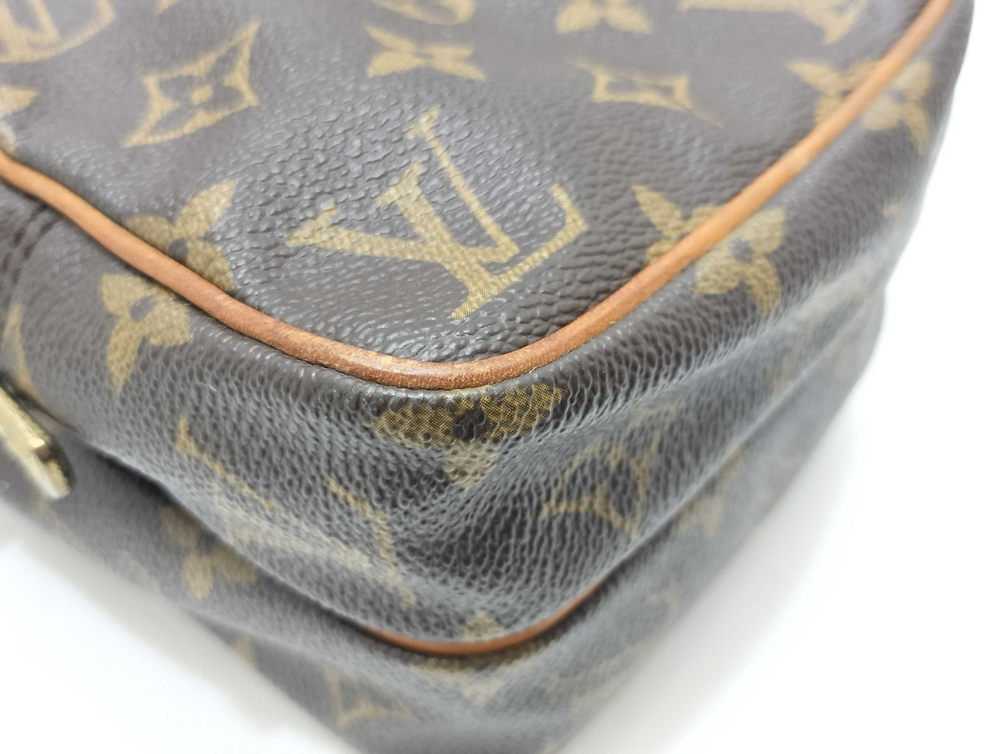 LOUIS VUITTON Monogram LV Mini Amazon Monogram Brown Shoulder Bag