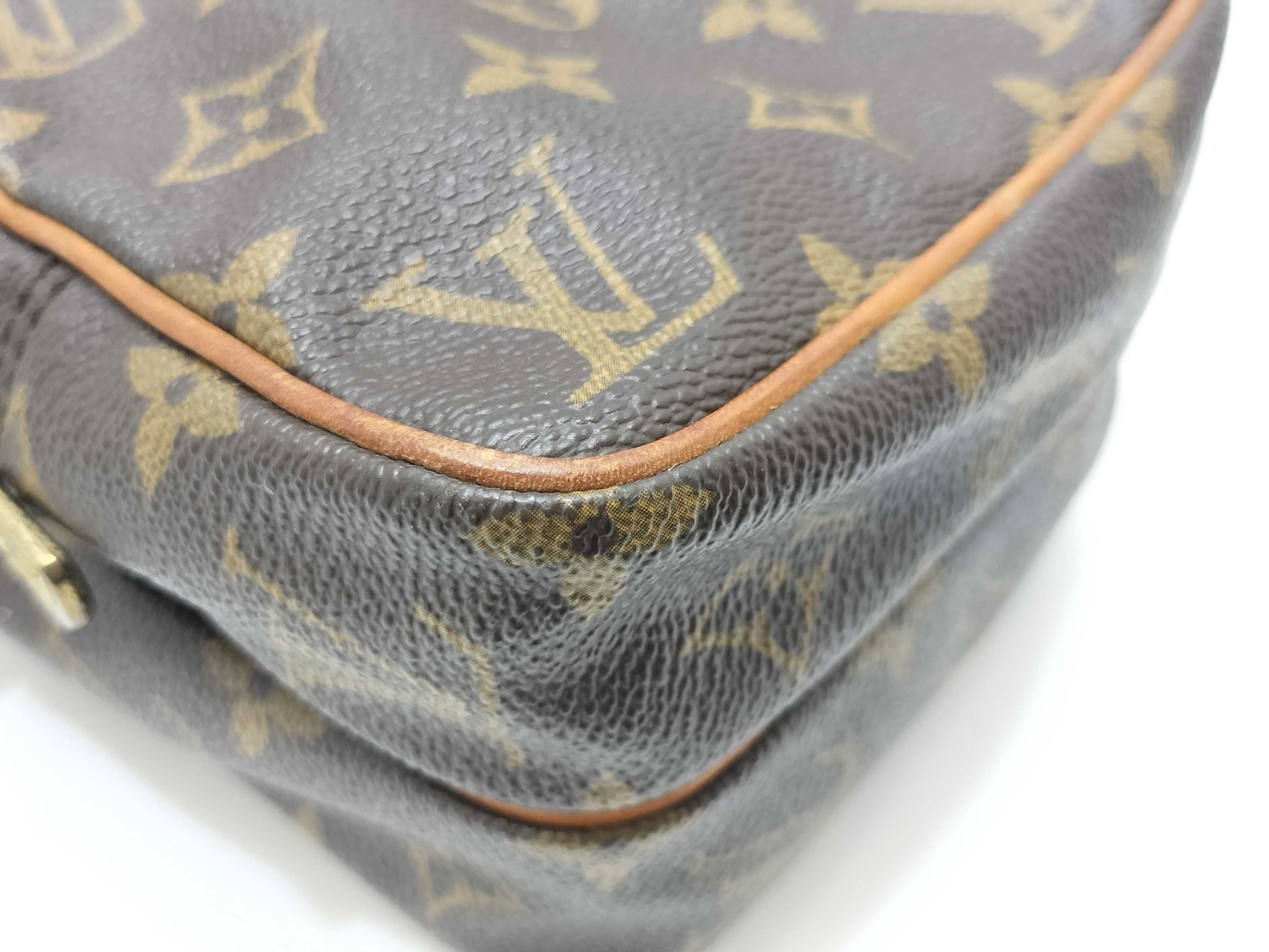 LOUIS VUITTON Monogram LV Mini Amazon Monogram Brown Shoulder Bag