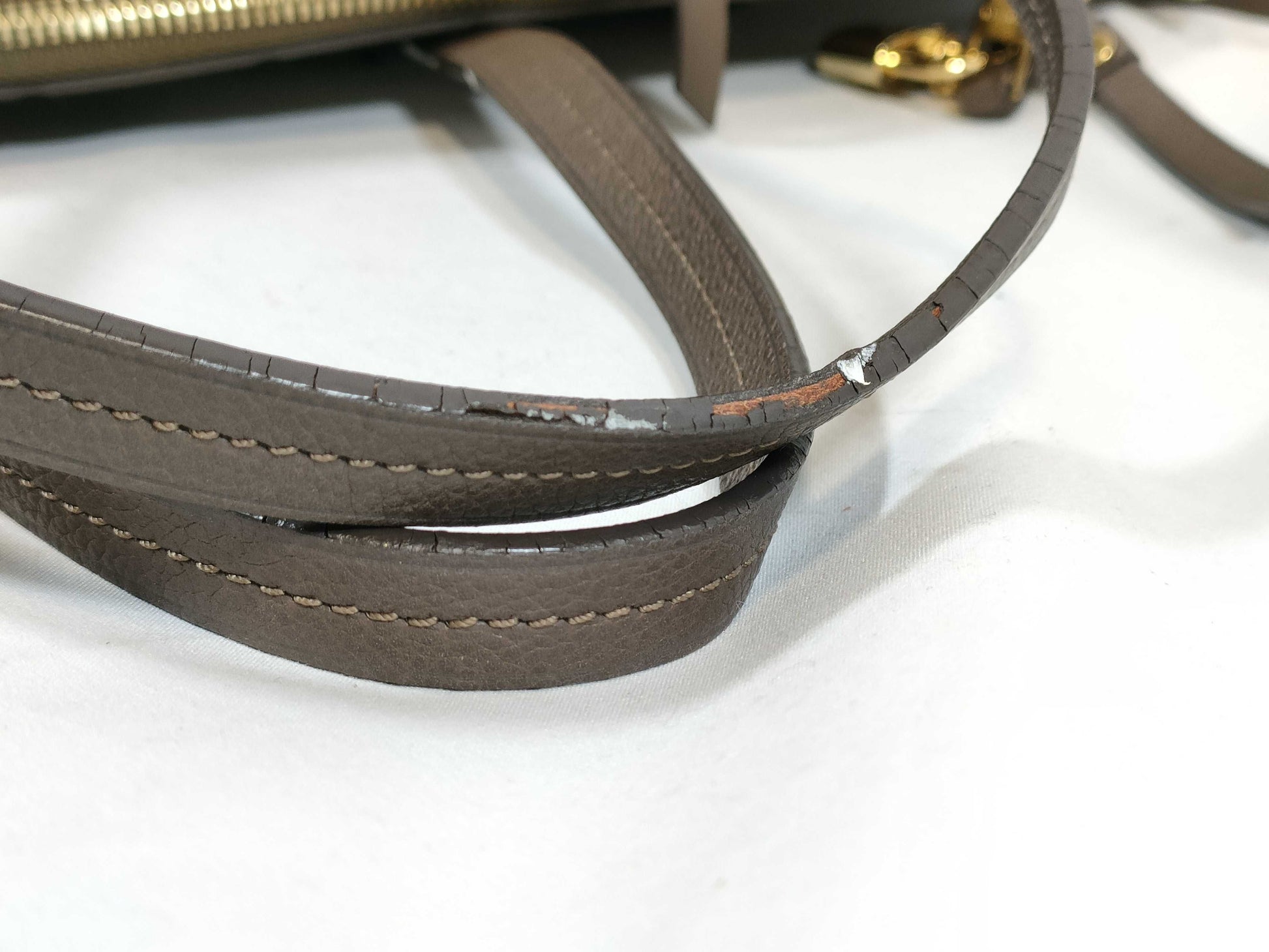 LOUIS VUITTON Monogram Unplanted LV Amplifiers Back Handbag