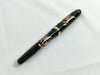 Platinum Fountain Pen Pen