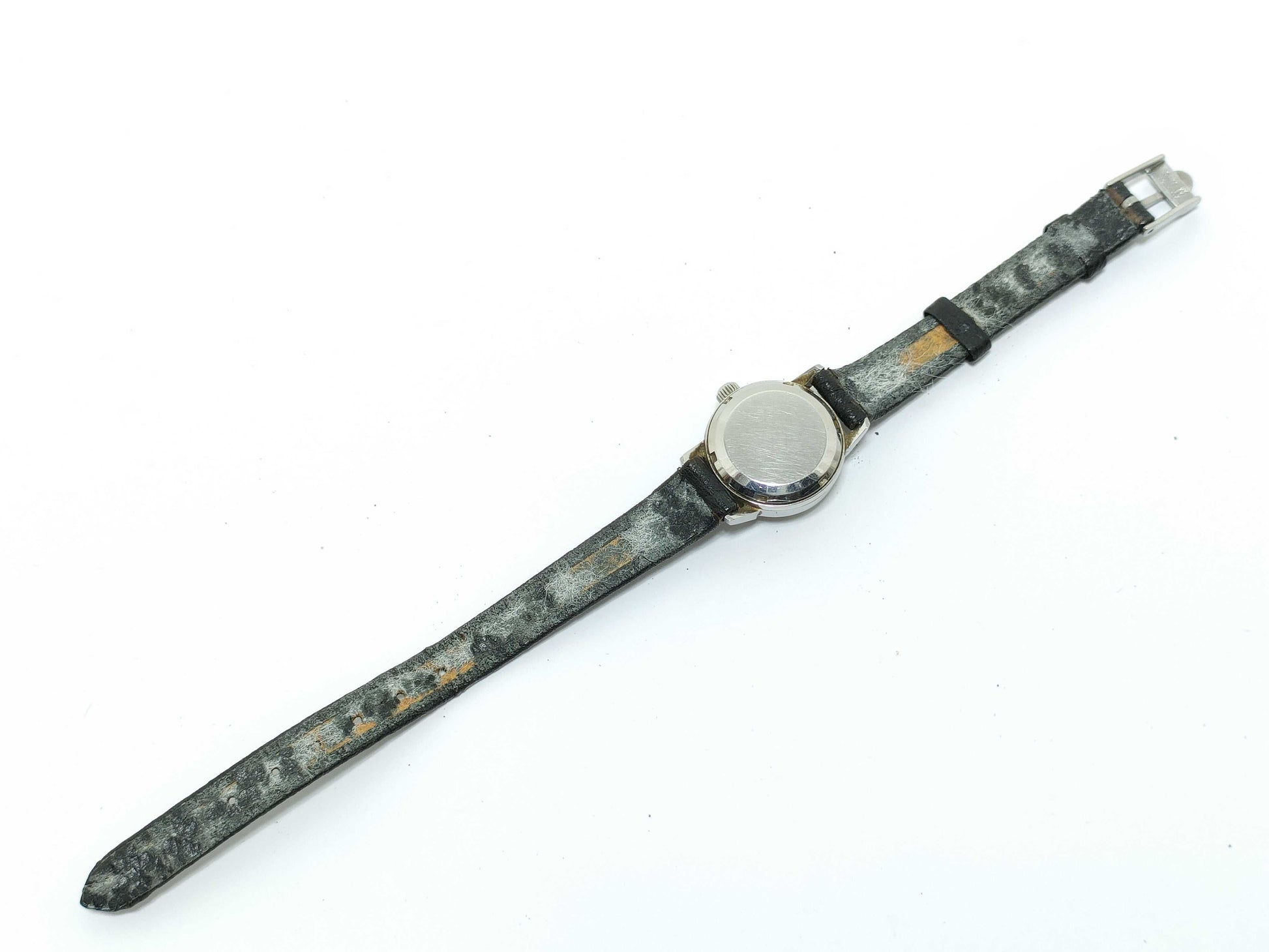 OMEGA Geneva Stainless Steel/Leather/AT Silver Dial Women's Watch