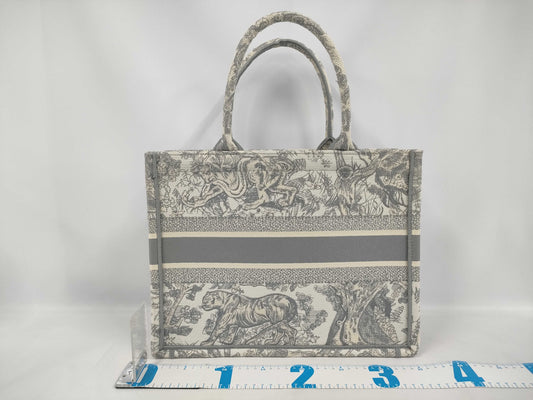 Dior Book Tote Bag