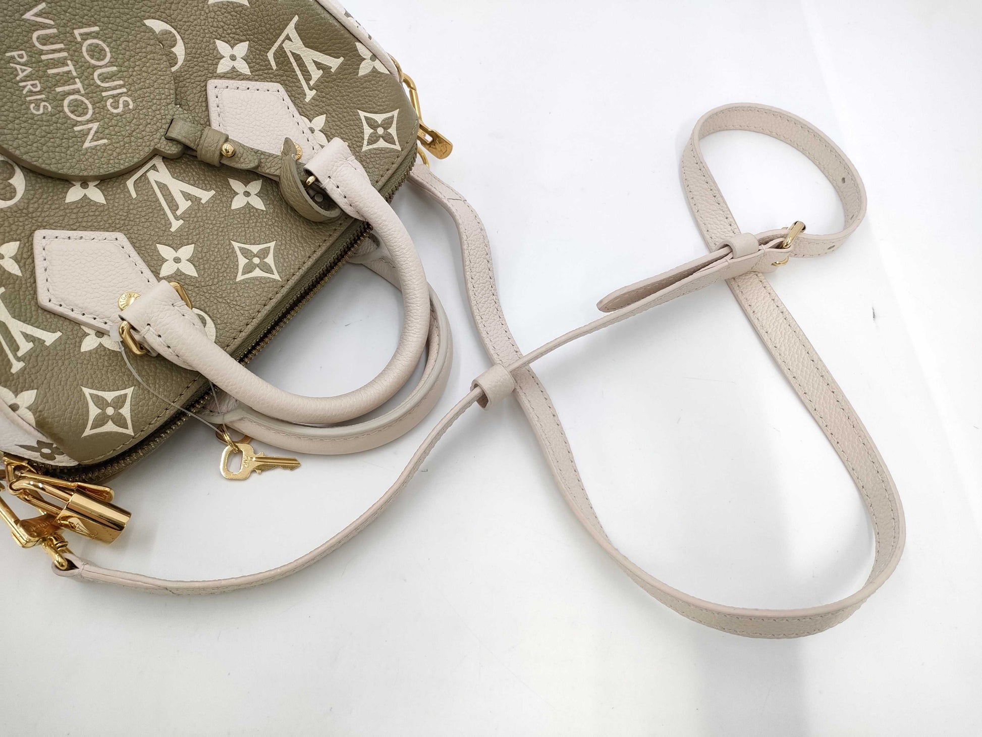 LOUIS VUITTON Louis Vuitton Speedy 20 Handbag