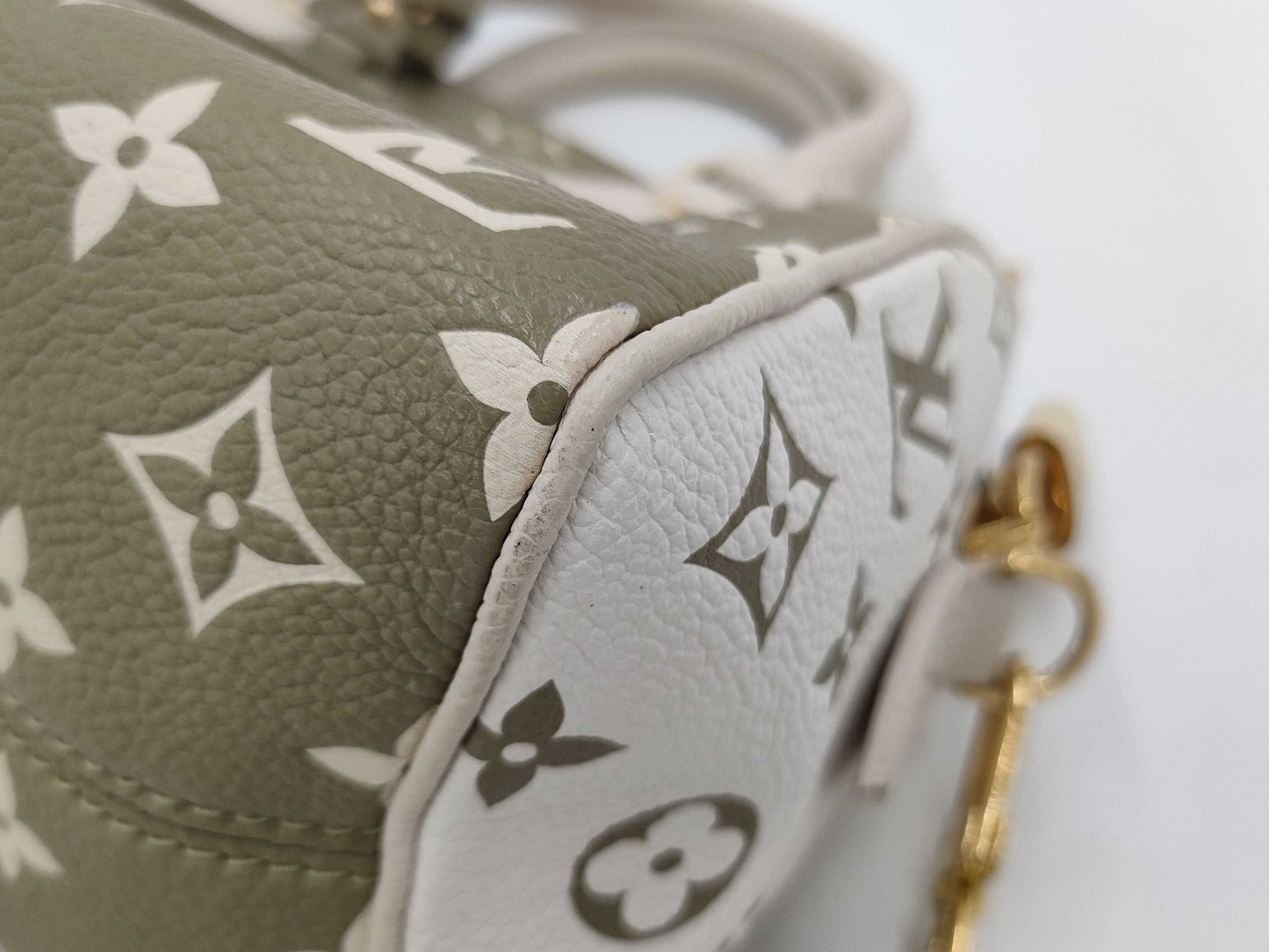 LOUIS VUITTON Louis Vuitton Speedy 20 Handbag