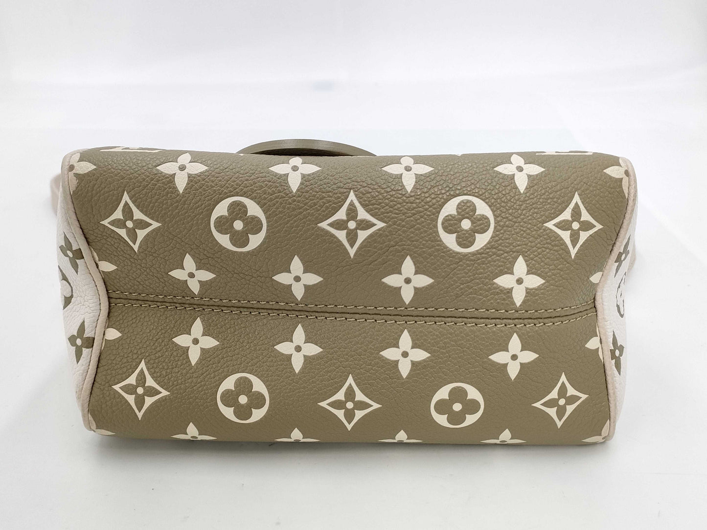 LOUIS VUITTON Louis Vuitton Speedy 20 Handbag