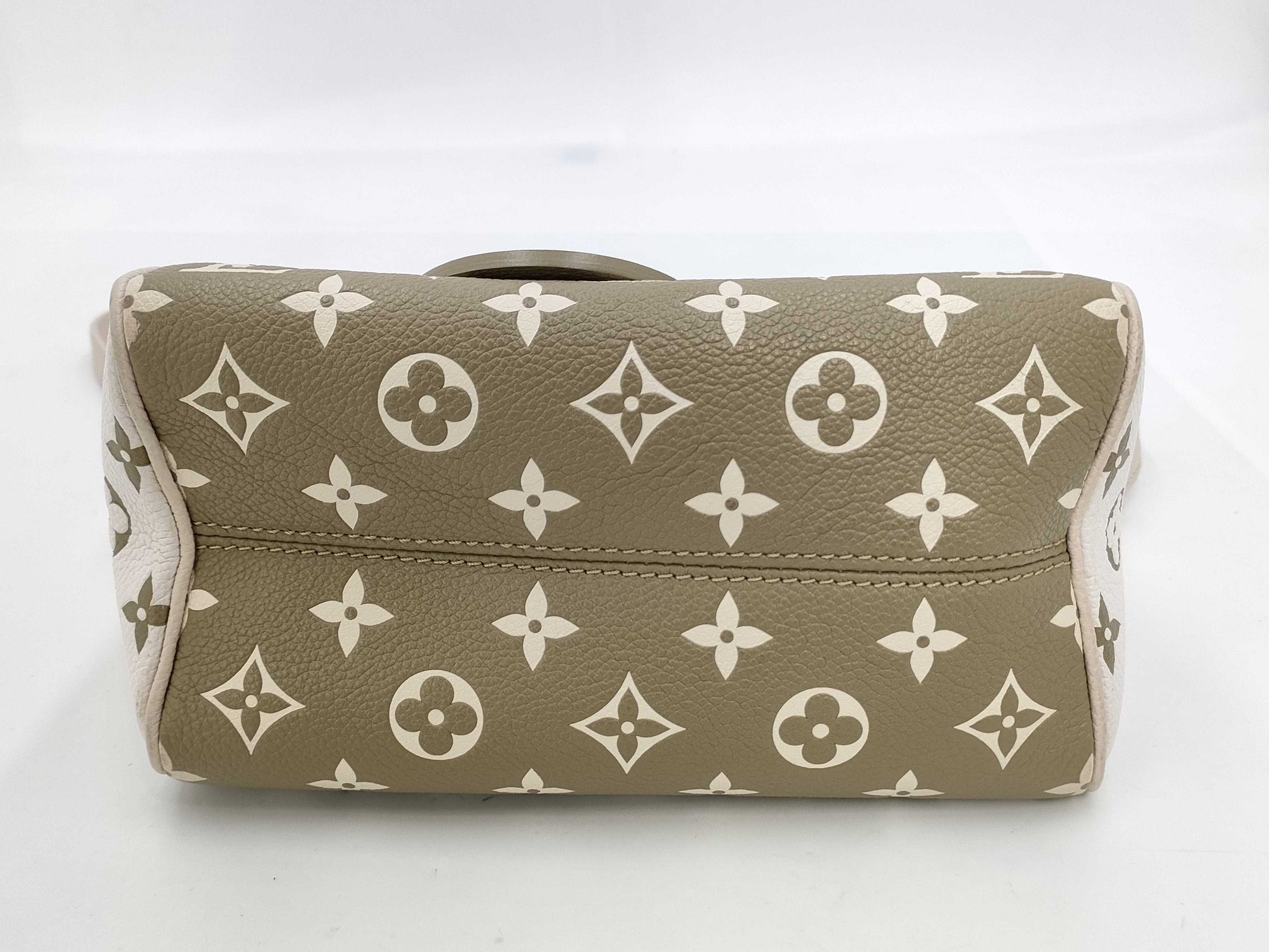 LOUIS VUITTON Louis Vuitton Speedy 20 Handbag
