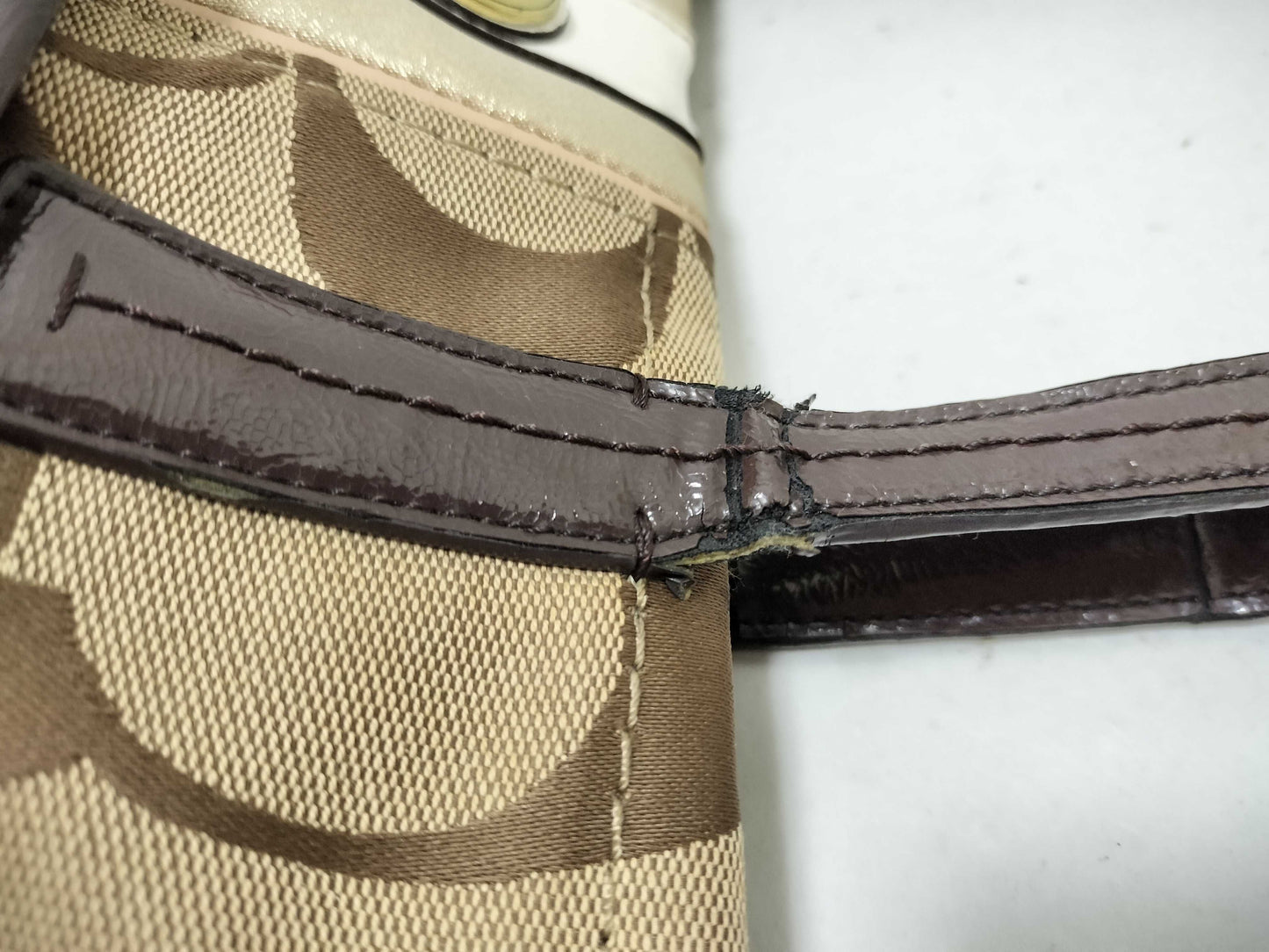 COACH Signature Tote Bag